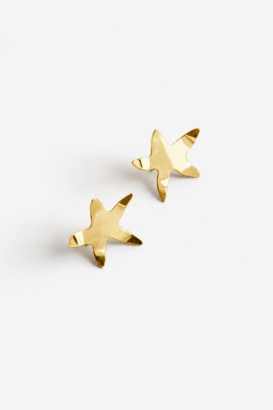 Sea Star earrings 02