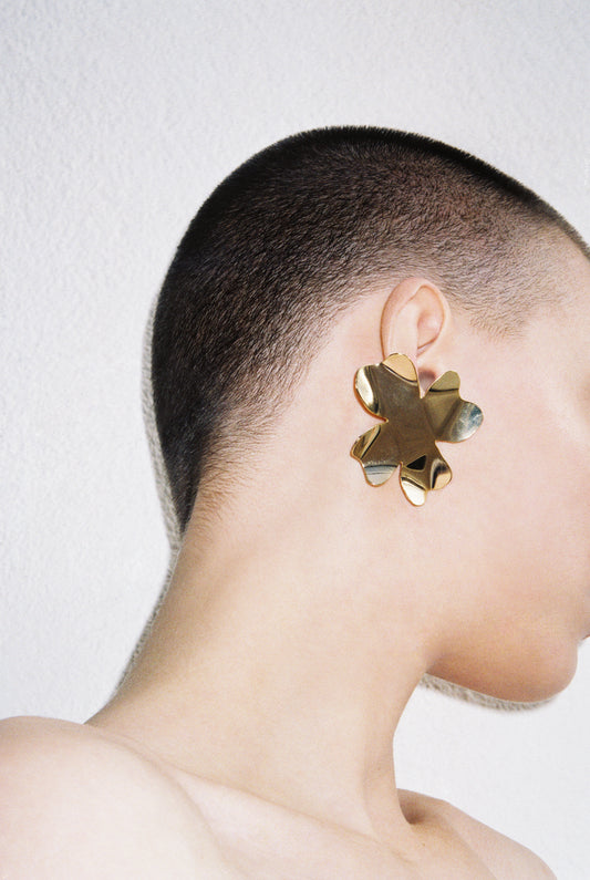 Degenia earrings