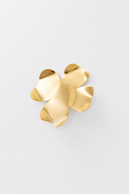 Degenia earrings