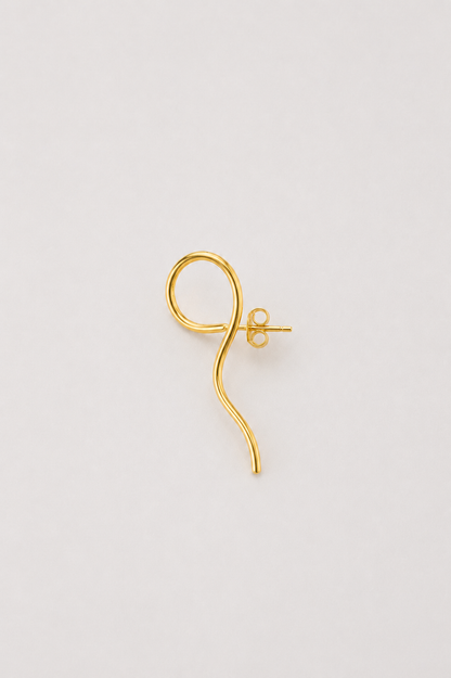 Climbers earrings