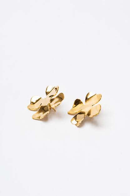 Degenia earrings