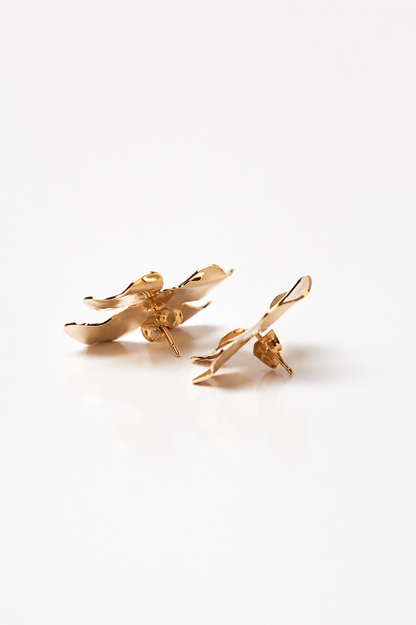 Degenia earrings