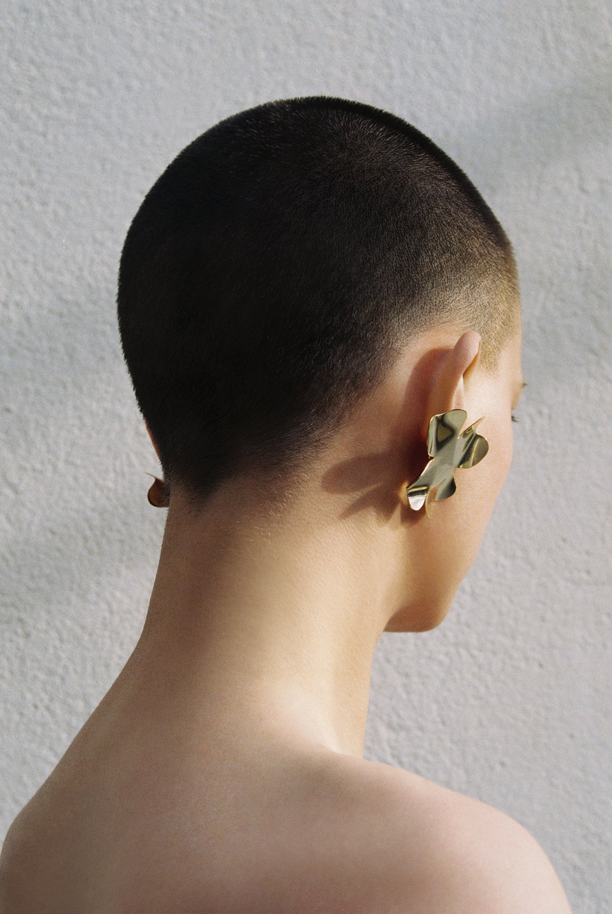 Degenia earrings