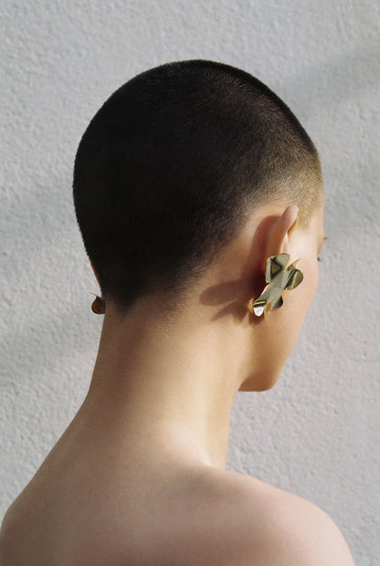 Degenia earrings