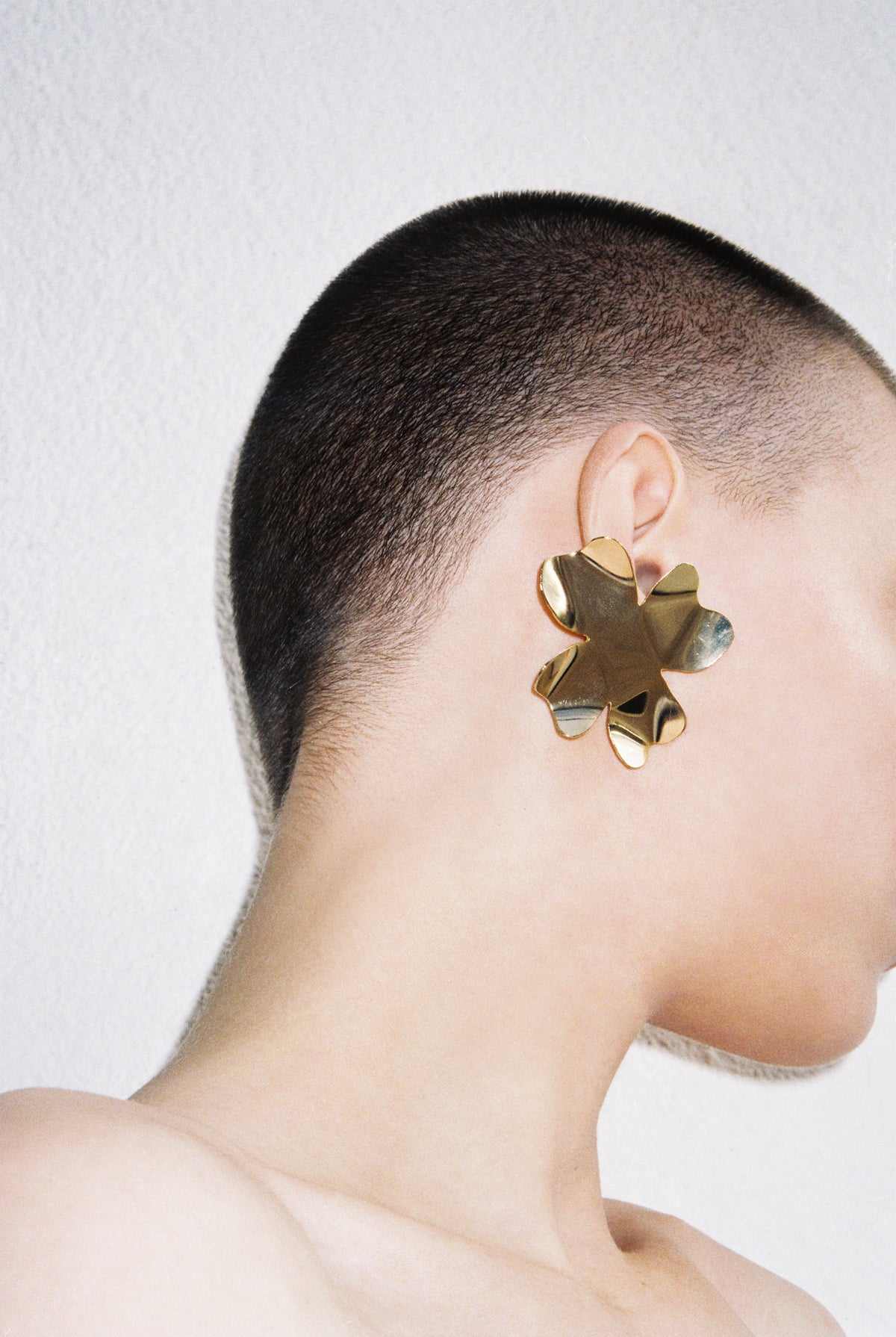 Degenia earrings
